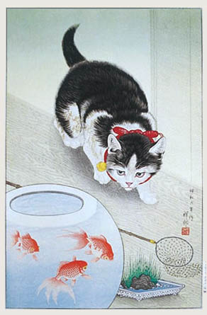 goldfish bowl and cat. Cat and Goldfish Bowl by